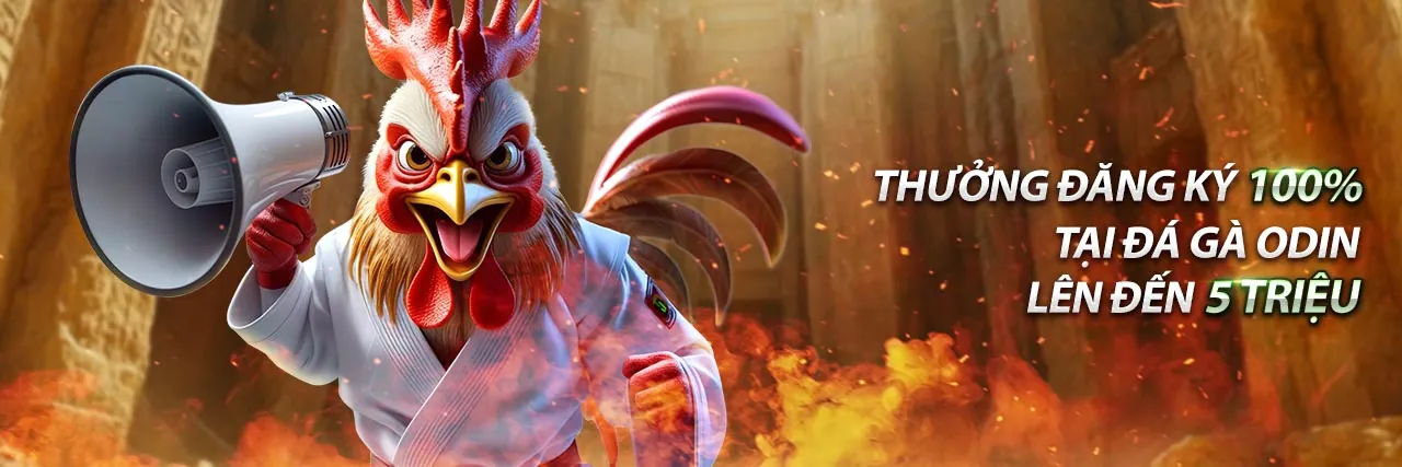 Giao diện ứng dụng bóng đá nhà cái 88